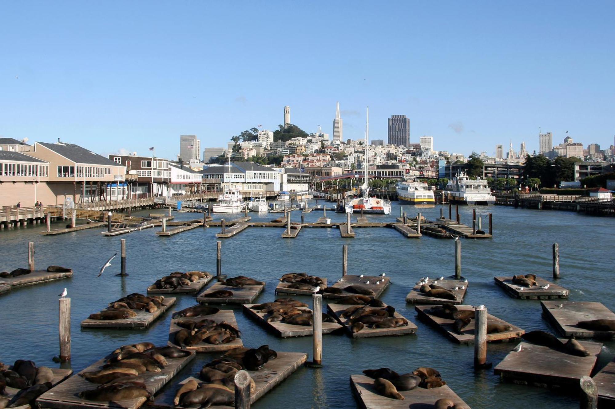 Hotel Zoe Fisherman'S Wharf San Francisco Exterior photo